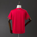 PORTOGALLO HOME 2010